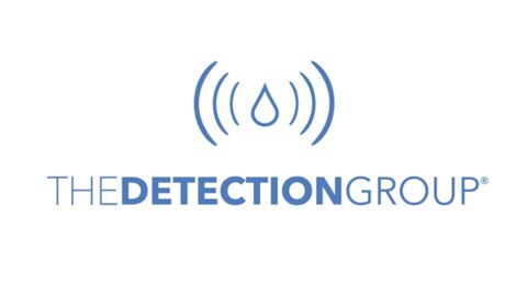 The Detection Group